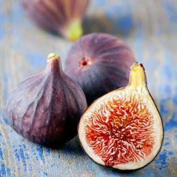 Ficus carica - 'Black Jack' Fig