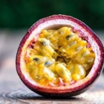 Passiflora edulis - Passion Fruit