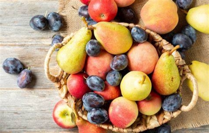  Stone Fruit Trees - Assorted Deciduous Stone Fruit Tree from Sunshine Grower Nursery