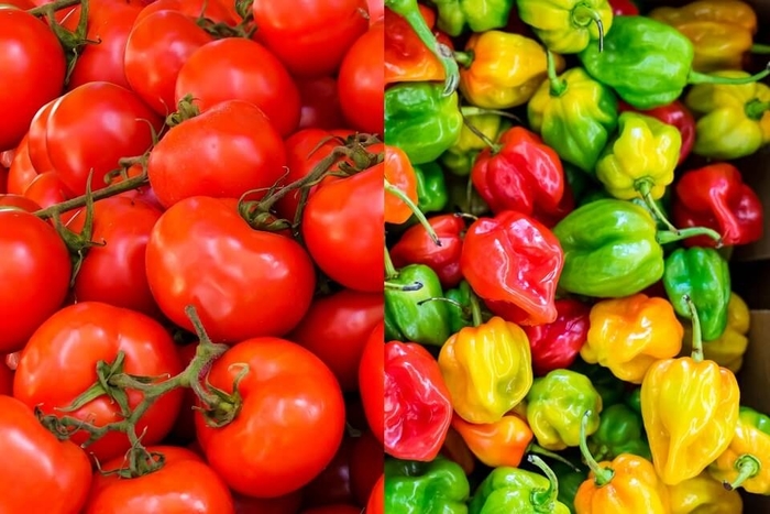 Peppers and Tomatoes - Mixed Vegetables from Sunshine Grower Nursery